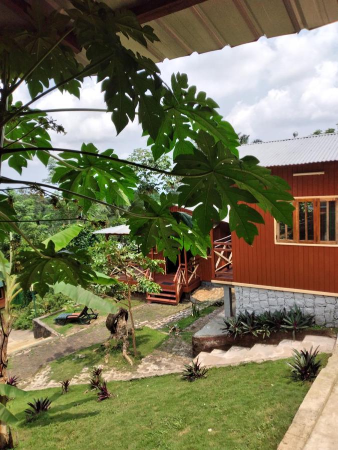 Guest House Quinta Natural Bangalots Graca Exteriér fotografie