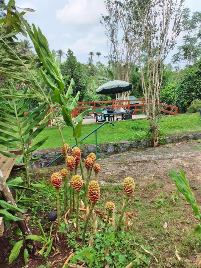 Guest House Quinta Natural Bangalots Graca Exteriér fotografie