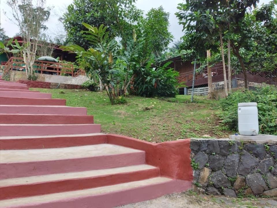 Guest House Quinta Natural Bangalots Graca Exteriér fotografie