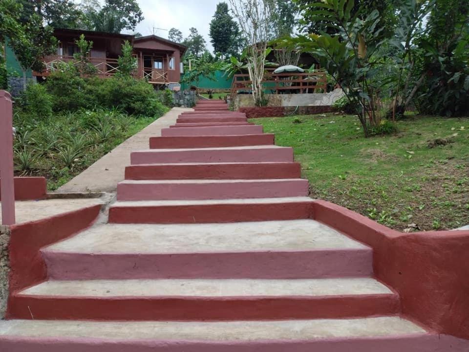 Guest House Quinta Natural Bangalots Graca Exteriér fotografie