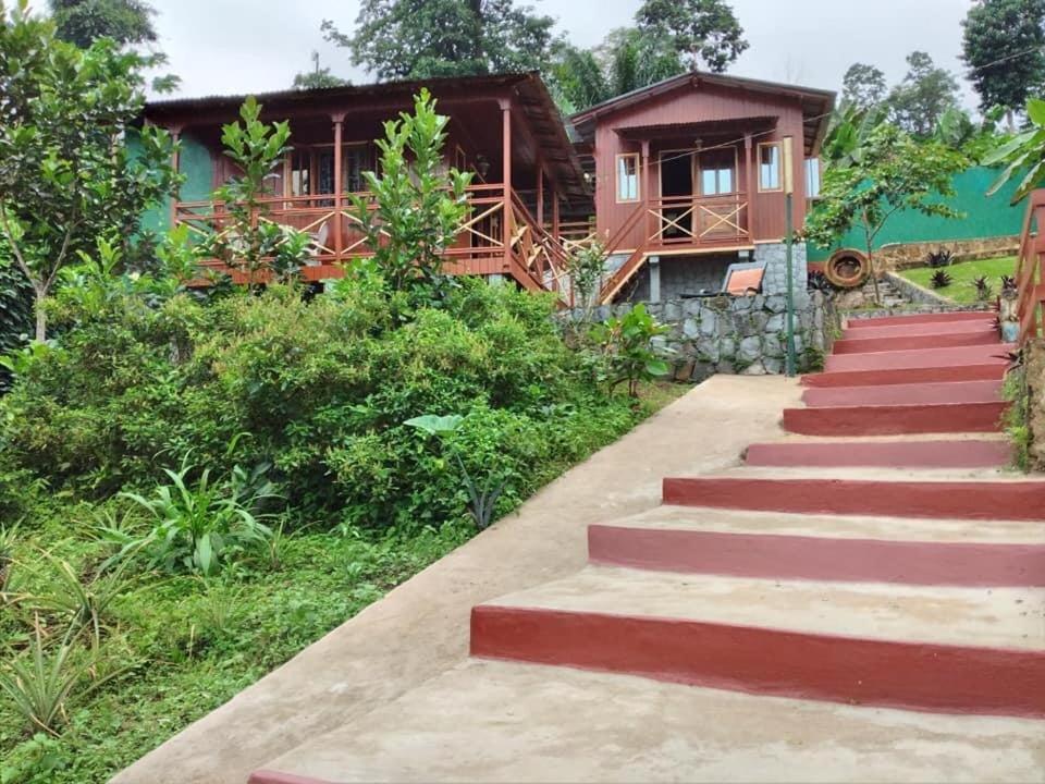 Guest House Quinta Natural Bangalots Graca Exteriér fotografie