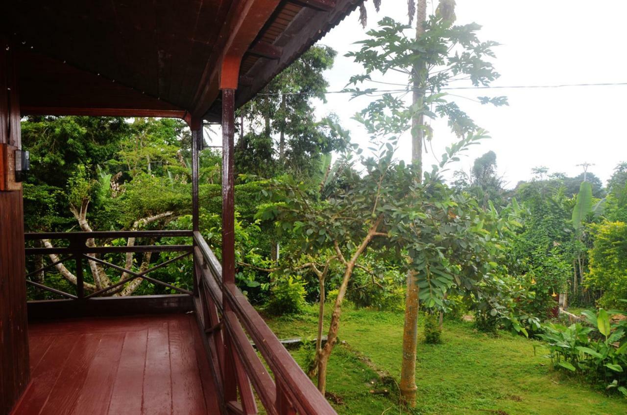 Guest House Quinta Natural Bangalots Graca Exteriér fotografie