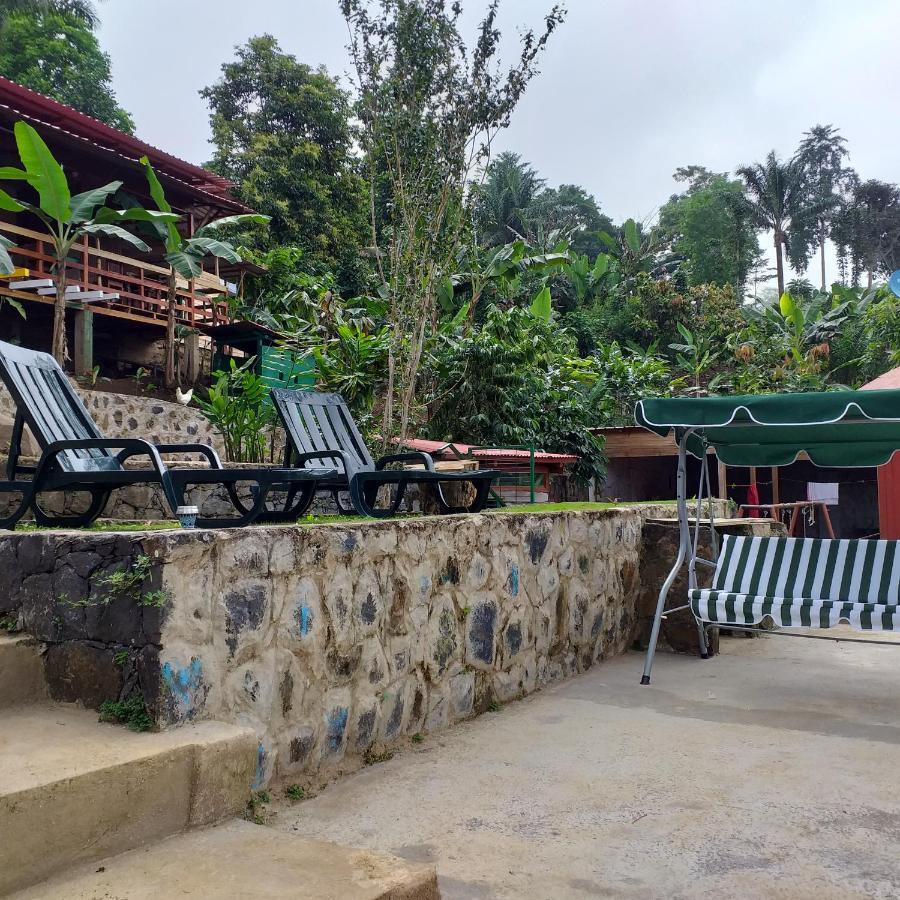 Guest House Quinta Natural Bangalots Graca Exteriér fotografie
