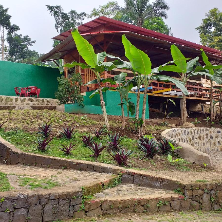 Guest House Quinta Natural Bangalots Graca Exteriér fotografie